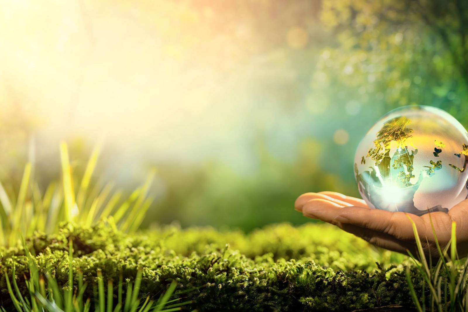 Panneaux photovoltaïques à La Teste de Buch proche Gujan Mestras